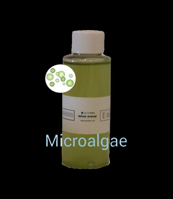 Microalgae (Dunaliella)