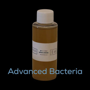 Advanced Bacteria