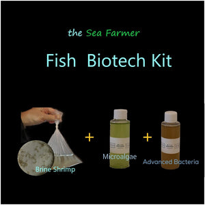 Fish Biotech Kit