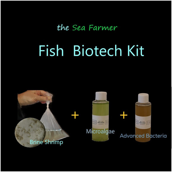 Fish Biotech Kit